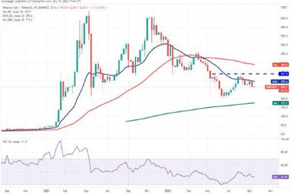 BIAN币最新价格行情美元 BNB最新趋势消息-第3张图片-芝麻交易所下载